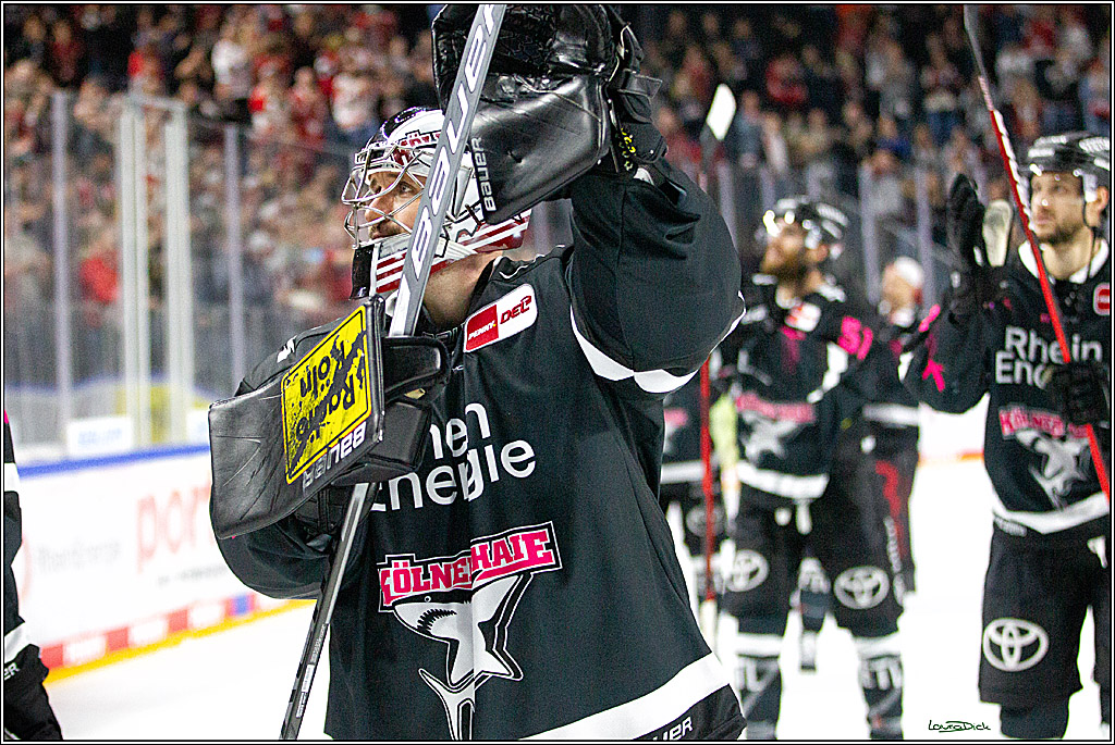 PENNY DEL;  Koelner Haie - Schwenninger Wild Wings; Koeln, 08.10.2021